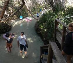 Visitors wading and floating down Eli Creek
